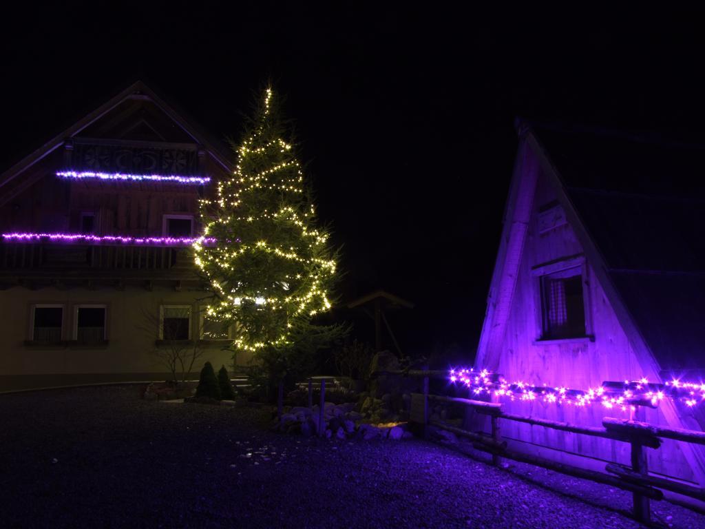 Garden Eco Houses Cebelica ボーヒニ エクステリア 写真